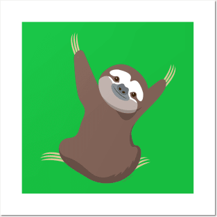 Baby sloth Posters and Art